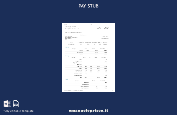 modello di busta paga Wellstar Health System in stile verificato