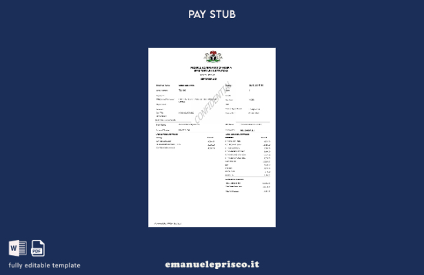 modello di busta paga dei dipendenti del governo federale della Nigeria in stile
