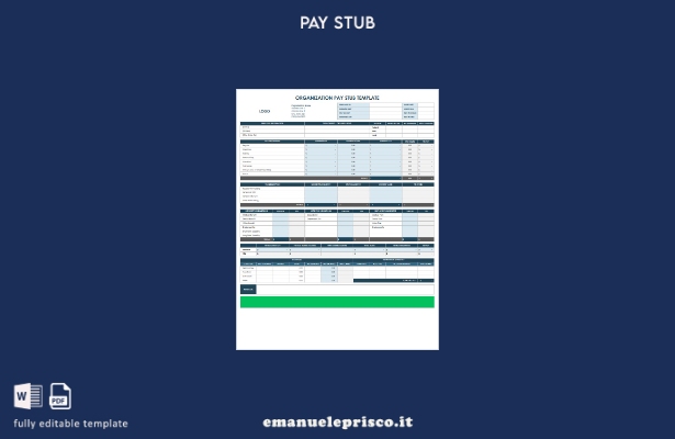 modello di busta paga dell'organizzazione in stile verificato