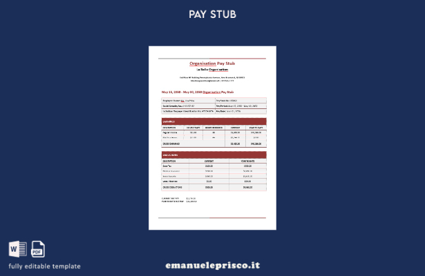 modello di busta paga della La Belle Organization in stile verificato
