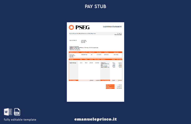 modello di busta paga della società di servizi pubblici PSEG USA in stile verifi
