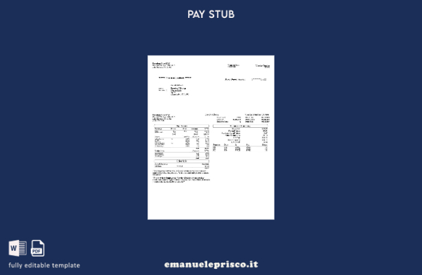 modello di busta paga di Freedom Care LLC in stile verificato