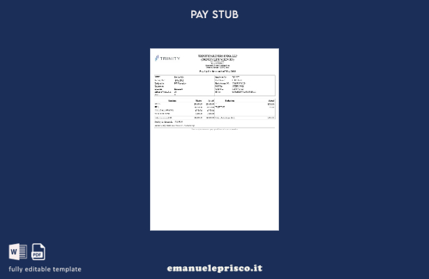 modello di busta paga immobiliare Trinitypartners India in stile verificato