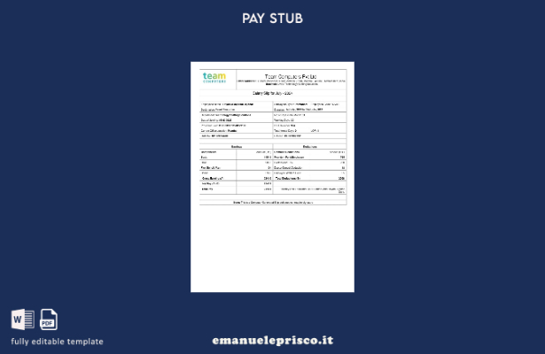 modello di busta paga per Team Computers in stile verificato