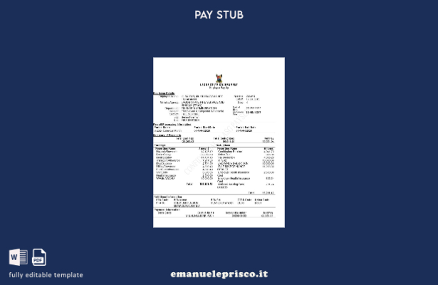modello di busta paga per dipendenti del governo statale di Lagos in stile verif