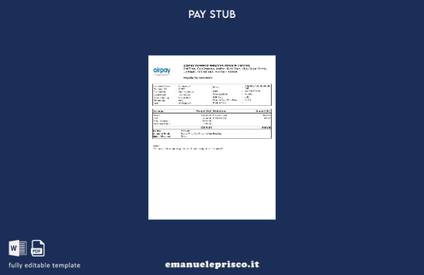 modello di busta paga per servizi di pagamento Airpay in stile verificato
