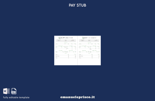 modello di dichiarazione dei guadagni Zenpayroll in stile verificato