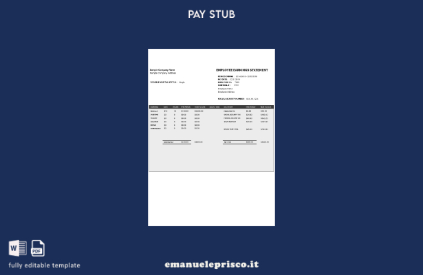 modello di dichiarazione dei guadagni dei dipendenti in stile verificato