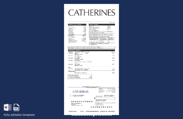 modello di dichiarazione dei guadagni di Catherines in stile verificato