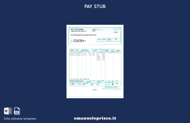 modello di estratto conto del dipendente in stile verificato