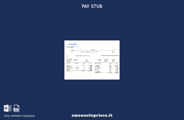 modello di libro paga modificabile della società con informazioni sullo stile ve