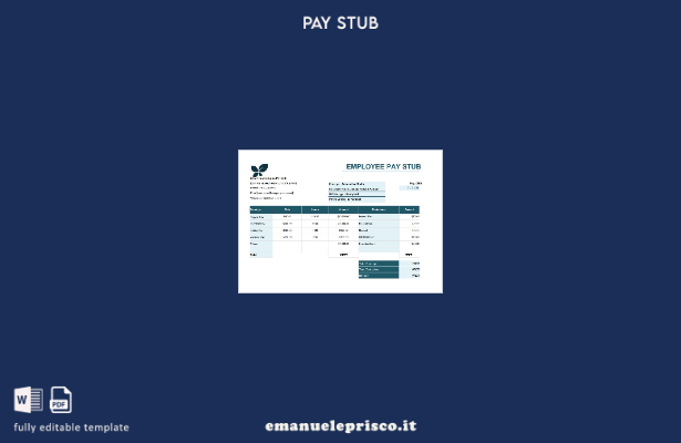 modello di versione della busta paga dei dipendenti in stile verificato 1