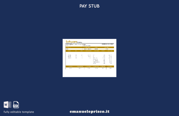 stile verificato Modello busta paga della società di software