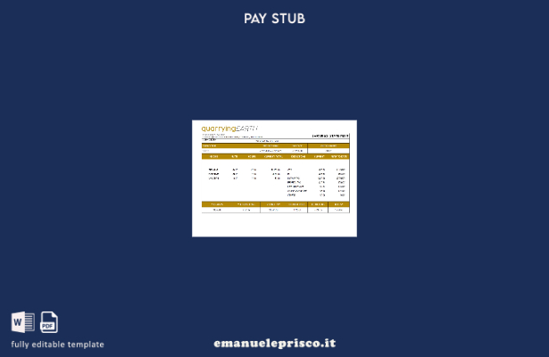 stile verificato Modello di busta paga completamente modificabile dell'azienda e