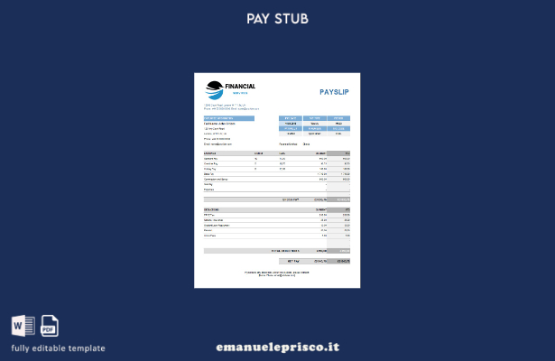 stile verificato Modello di busta paga per servizi finanziari