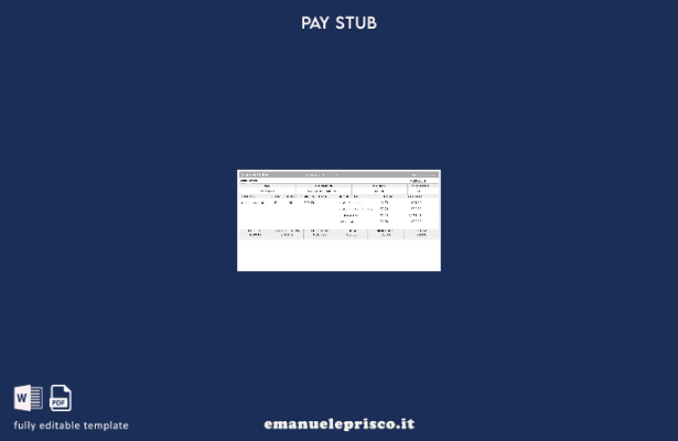 stile verificato USA Modello astratto di busta paga unito