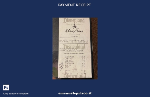 modello di controllo del pagamento del parco Disneyland in stile verificato