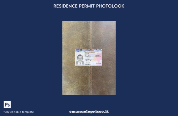 modello frontale photolook della carta del permesso di soggiorno estone in stile