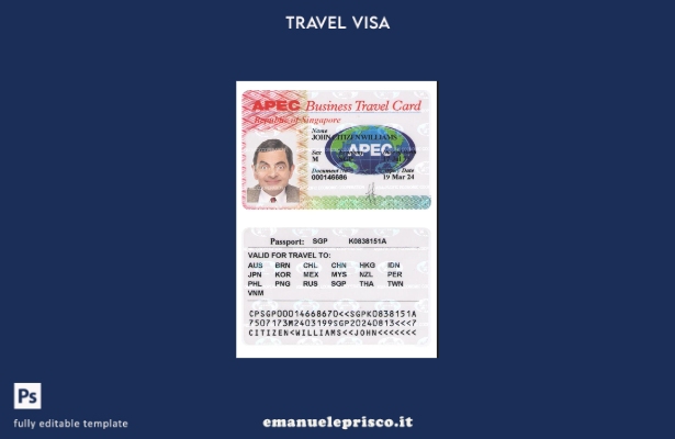 modello di biglietto da viaggio d'affari per Singapore in stile verificato