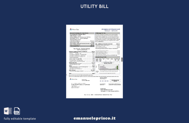 modello di bolletta delle utenze USA Nicor ​​Gas in stile verificato