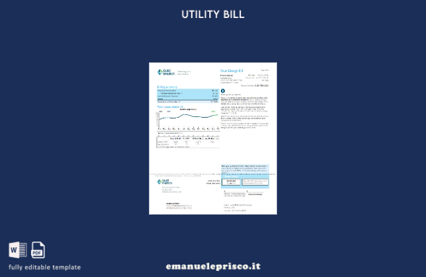 modello di versione della bolletta delle utenze USA Duke Energy in stile verif 2