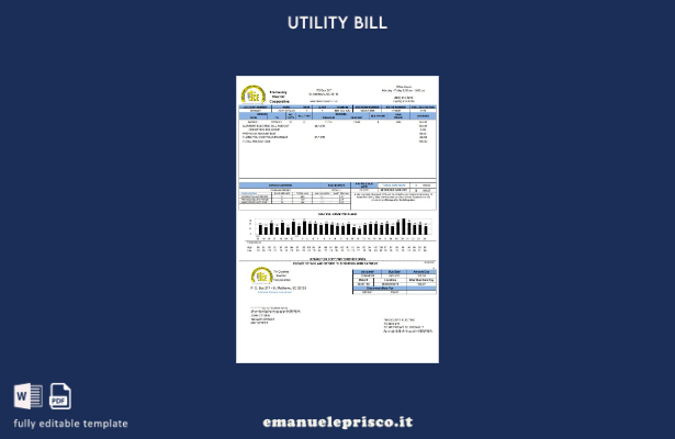 modello word di bolletta delle utenze cooperative elettriche USA Tri County in s