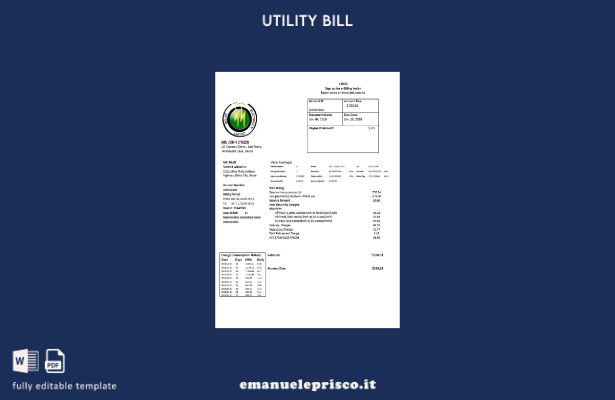 modello word di bolletta elettrica stile verificato di Belize Electricity Limite