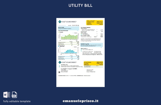 modello word di bolletta energetica USA Washington Puget Sound stile verificato