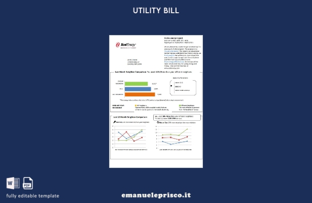 stile verificato Modello di bolletta delle utenze USA Minnesota Xcel Energy