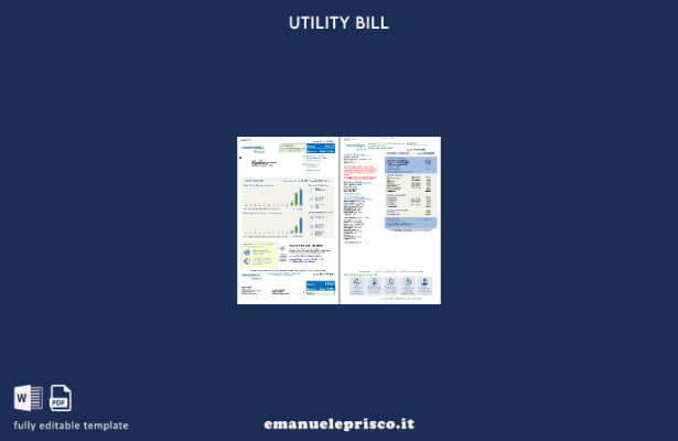 stile verificato Modello di pagine della bolletta energetica dei consumatori USA